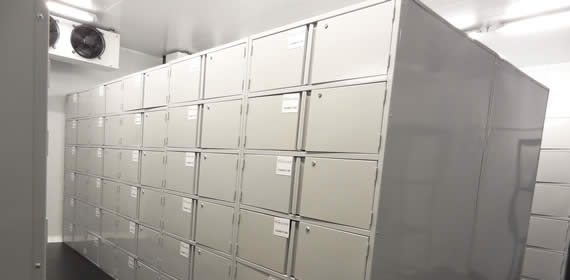 World Courier S.A. | Planta Chacarita